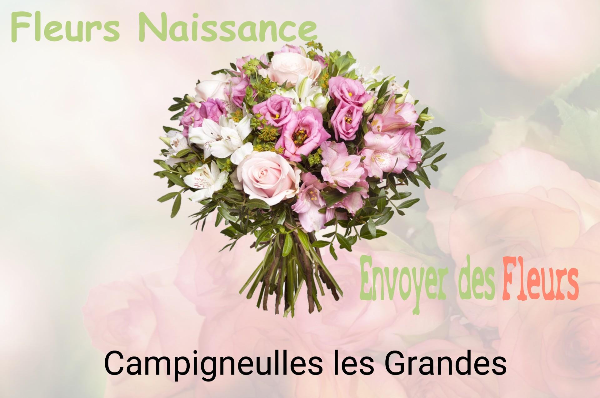 Bouquet de fleurs de naissance livré à Campigneulles-les-Grandes